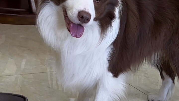 Don’t poke the fish—it’s dangerous!