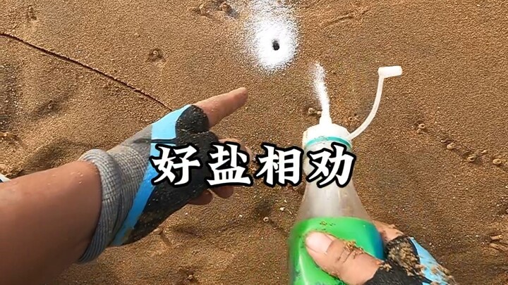 يا لك من ملح طيب، تصر على عدم الخروج حتى أضطر إلى إخراجك بالقوة