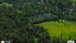 人一定要改掉的四大毛病：改掉輕易的掏心掏肺，改掉毫無底線的心軟，改掉一錯再錯的忍讓，改掉沒有原則的善良。
