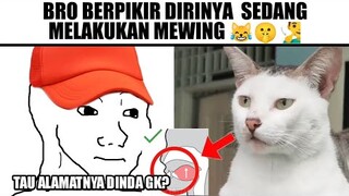 Kucing Mewing🤫🧏‍♂️