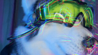 差不多我可以从缅甸北部回来了吧