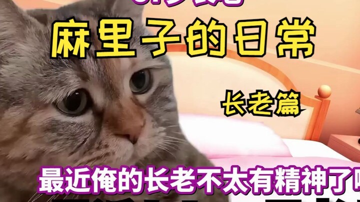 [Hot Content] The story of an 87-year-old elder becoming a repeat customer for Mariko | Cat meme