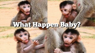 Ah What Happen Baby?, Why Baby Monkey 's Tongue Out Side Like That?, Adorable Baby Jason Try Hard​