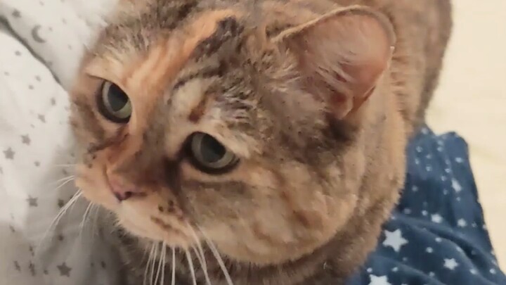 I really can’t handle you—Mom still has to let the cat sleep with you.