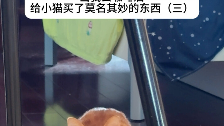 Xiao Mao, ini sangat praktis