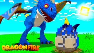 Taming our VERY OWN DRAGON!