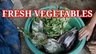 Inubos ko ang panindang gulay