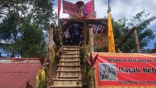 ACARA NIKAH ADAT DAYAK KEBAHANT DI DESA MERAH ARAI