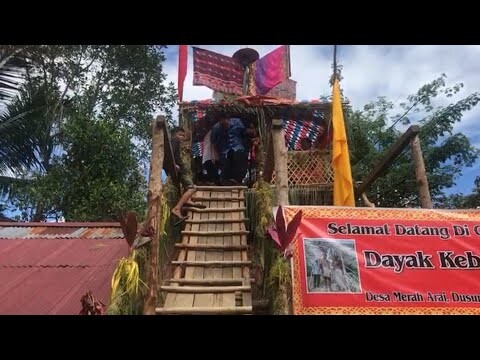 ACARA NIKAH ADAT DAYAK KEBAHANT DI DESA MERAH ARAI