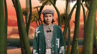 没人规定一颗种子必须要长成向日葵或者玫瑰