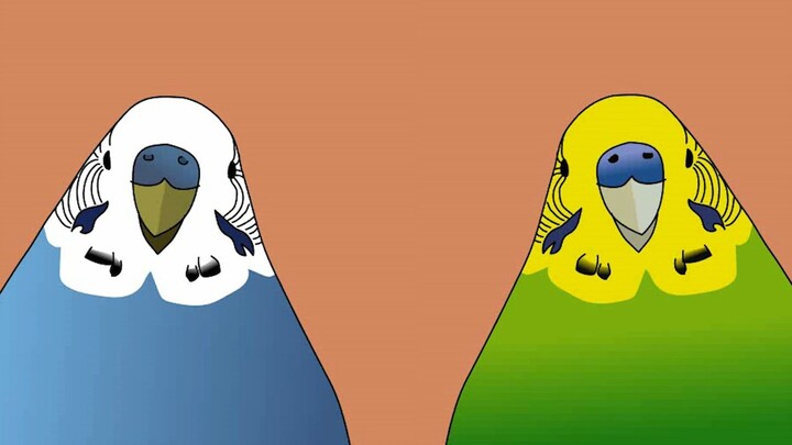 【Sand Sculpture Animation】Parrot Shake 3