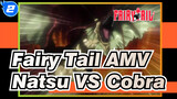 [Fairy Tail AMV] Natsu VS Cobra (Part 2)_2