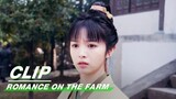 Maner is Worried that Shen Nuo will be Caught | Romance on the Farm EP11 | 田耕纪 | iQIYI