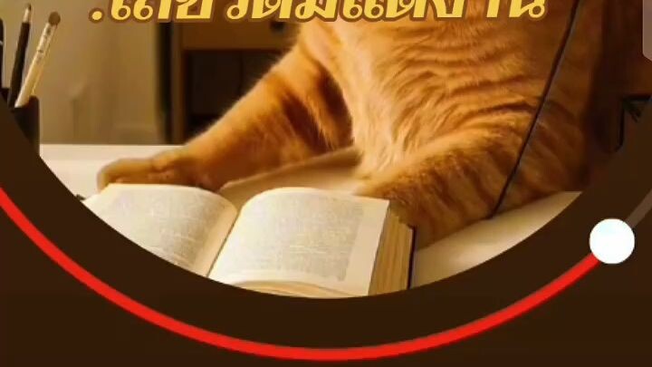 เพลงแต่งเอง#