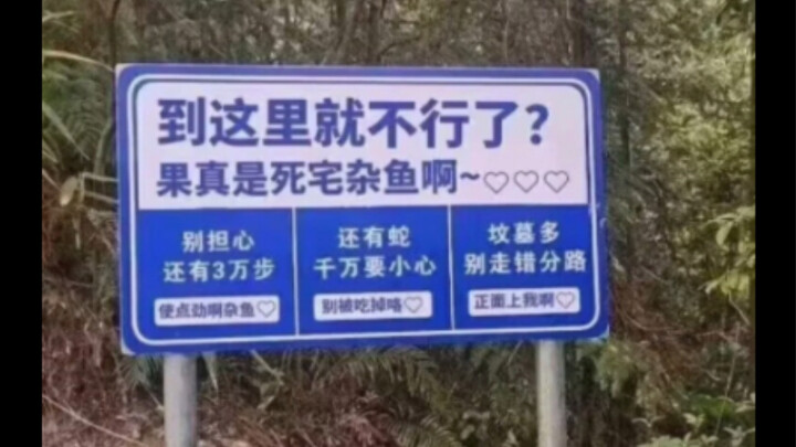 Silly meme | How to reward a hardcore otaku for hiking