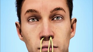 为什么吃东西时打喷嚏，有时食物会从鼻子里喷出来