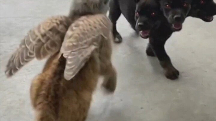 When You Raise a Litter of Legendary Little Creatures