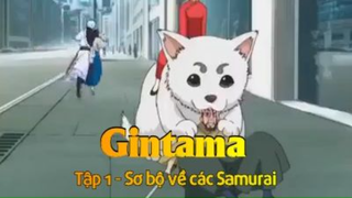 Gintama Tập 1 - Sơ bộ về các Samurai