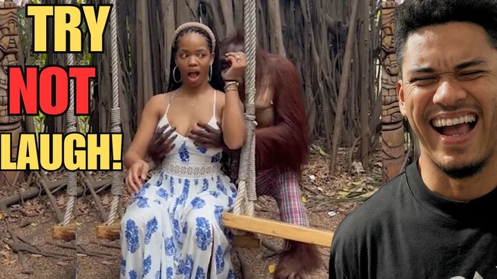 Very funny moments to brighten your day
