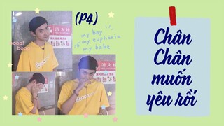 [Vietsub] Chân Chân muốn yêu rồi (Phần 4) | Ổ nhỏ của Hoài