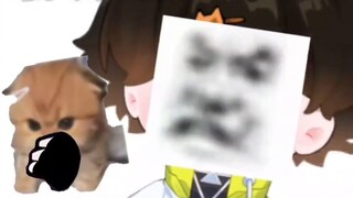 [ks Milk Cat is Not a Trash] The Up Master is exploring, welcome to watch and ask for triple likes!