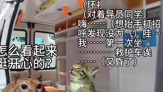 【Meme kucing】Tentang saya yang tidur di rumah sakit jiwa