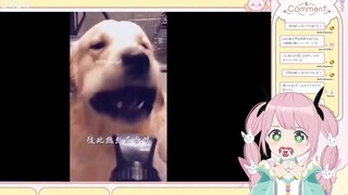 日本妖精看《卧 龙 凤 雏》