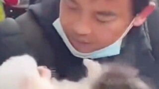 Tidak, Kakak, seberapa banyak sih kamu menyimpang?