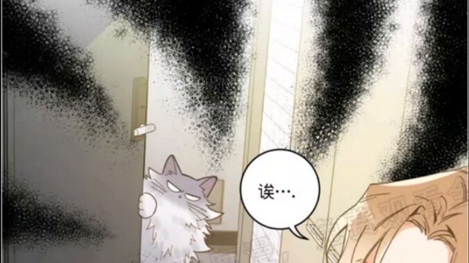 [My Exclusive Cat] [Cat Top x Human Bottom] Some stray cats like humans so much that they become hum