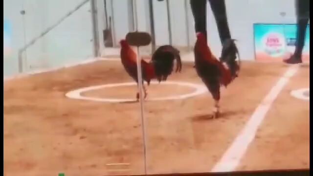 Machine kelso in action #2