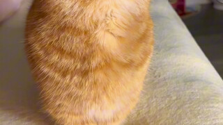 Tôi chỉ là không thích tắm, tôi còn thích lên giường nữa!