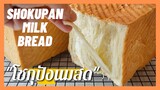 โชกุปัง Shokupan | Japanese White Bread ,ขนมปังแซนวิช,ขนมปังปอนด์, แป้งเหนียว นุ่ม ( สูตรแนะนำ)