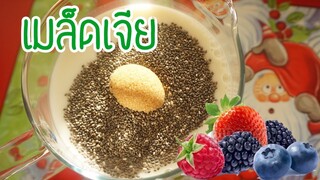 เมล็ดเจียพุดดิ้ง Chia Pudding เมล็ดเจียลดน้ำหนัก