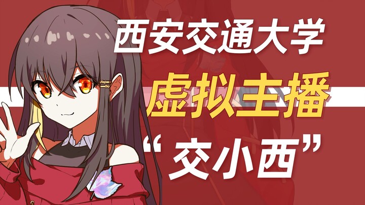 【985高校】虚拟主播，活动一年的工作汇报！