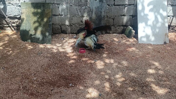 kanaway makabalik sana hehe