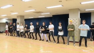 2018 SEVENTEEN CONCERT 'IDEAL CUT' IN SEOUL - SPECIAL FEATURES - 'IDEAL CUT' PRACTICE MAKING FILM