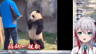 Japanese natural girl watches "Can Break My NB"