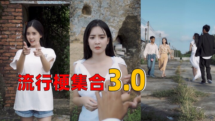 流行梗合集3.0