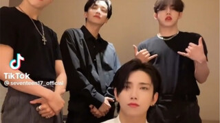 ผลงาน TikTok 20 อันดับแรกของ Seventeen ที่มียอดวิวสูง