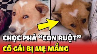 Cô gái bị MẮNG vì dám chọc phá "CON RUỘT" của mẹ ĐANG NGỦ 😂 | Yêu Lu