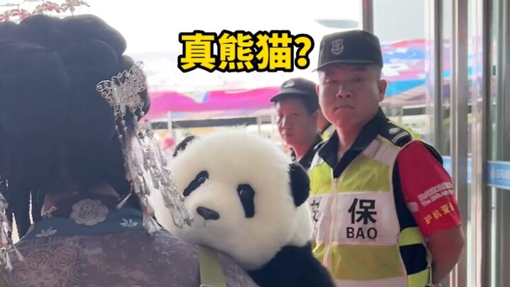 My Third Prince is also a bear who's seen the world.