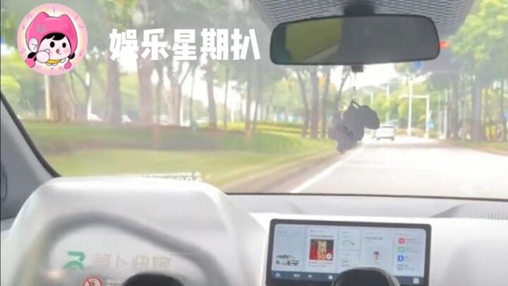 Lúc đầu cứ tưởng “Luo Bo Kuai Pao” là tên của nó, hóa ra lại là tiếng gào thét bất lực của hành khác
