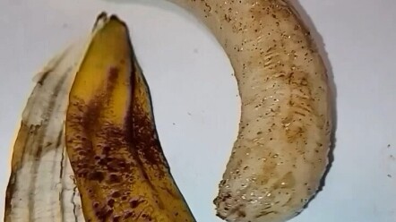 Don't watch it before bed or before meals.