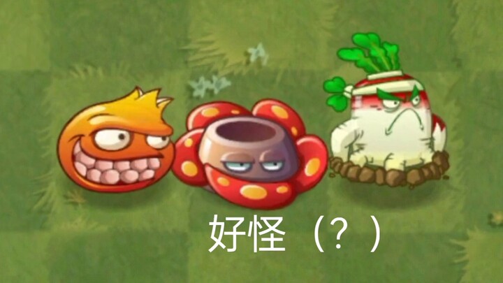 老师我家植物好像死了