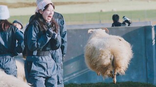 ใุฑุงุจ ุงูุฒููุฑ ูุงูุดุจุงุจใุงูุญู
ุงุณ ูู ุฃูุณููุฏุง!