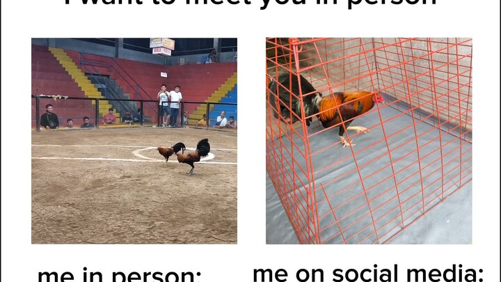 me on  social media Vs. in person