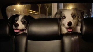 Không ngại nóng à? Vậy dẫn các bạn đi ngắm biển nhé!