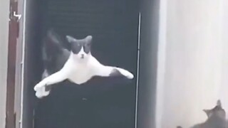 Body Movement Combat Basics