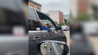 Những con người ngốc nghếch nhất hành tinh #61