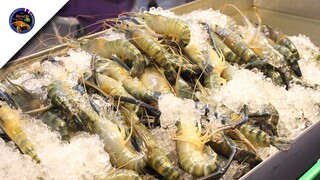 กุ้งก้ามกรามตัวใหญ่ ปิ่งๆย่างๆ เทศกาอาหารย่างโคราชสไตล์korattv